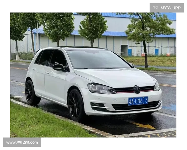 2017高尔夫赛事录像—2017年高尔夫