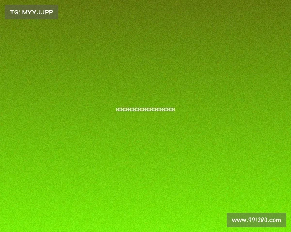 热血沸腾空手道全球锦标赛顶尖高手巅峰对决荣耀之战